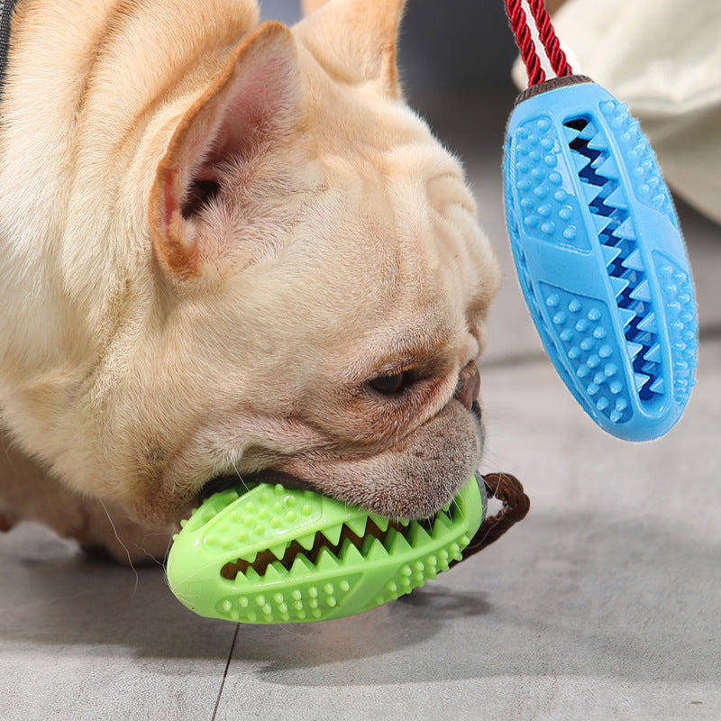 Dog Chewing Toys | Dog Chewing Toothbrush Toy | Bubba's Pet Emporium