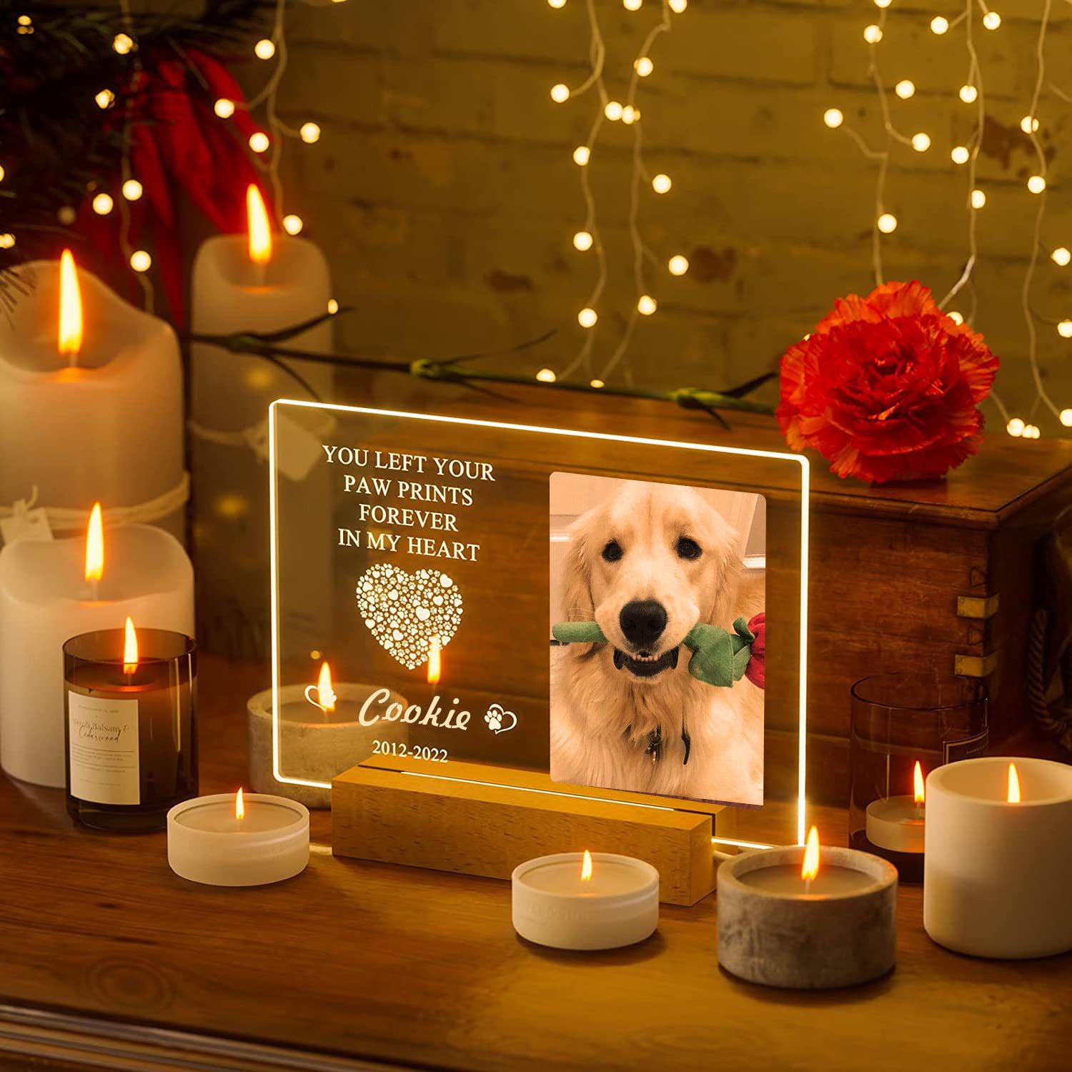 Dog Photo Frame | Dog Night Light Frames | Bubba's Pet Emporium