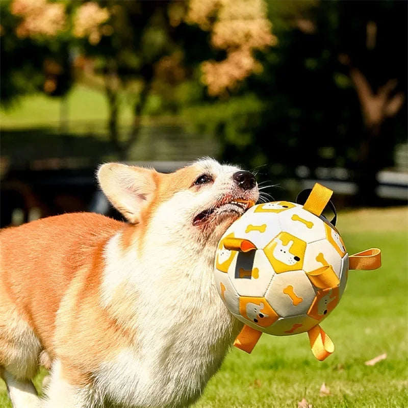 Dog Football Toys | Dog Soccer Ball | dog soccer ball