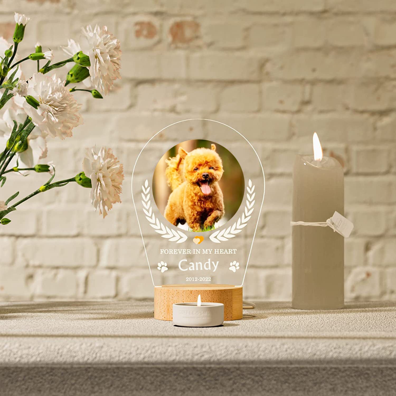 Dog Photo Frame | Dog Night Light Frames | Bubba's Pet Emporium