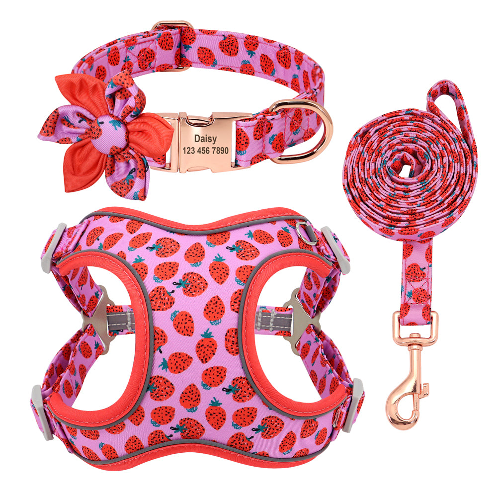 Small Dog Leash | Short Dog Leash | Bubba's Pet Emporium