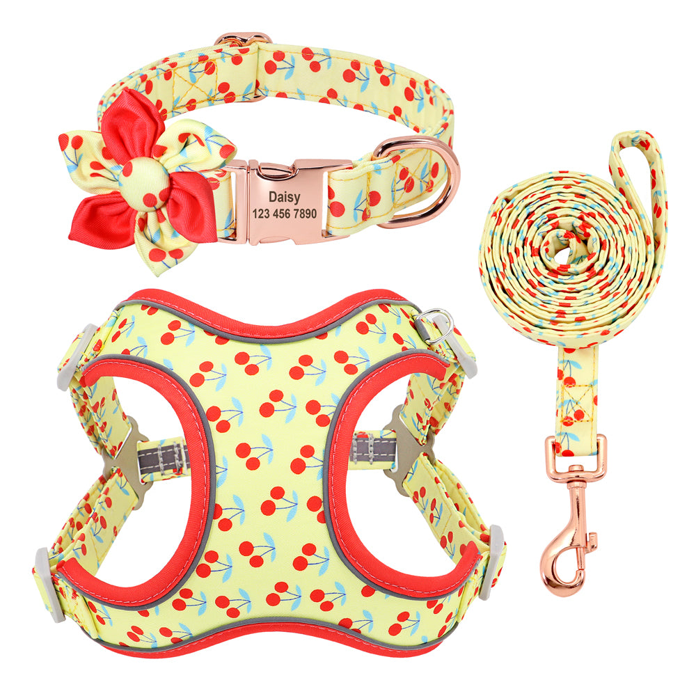 Small Dog Leash | Short Dog Leash | Bubba's Pet Emporium