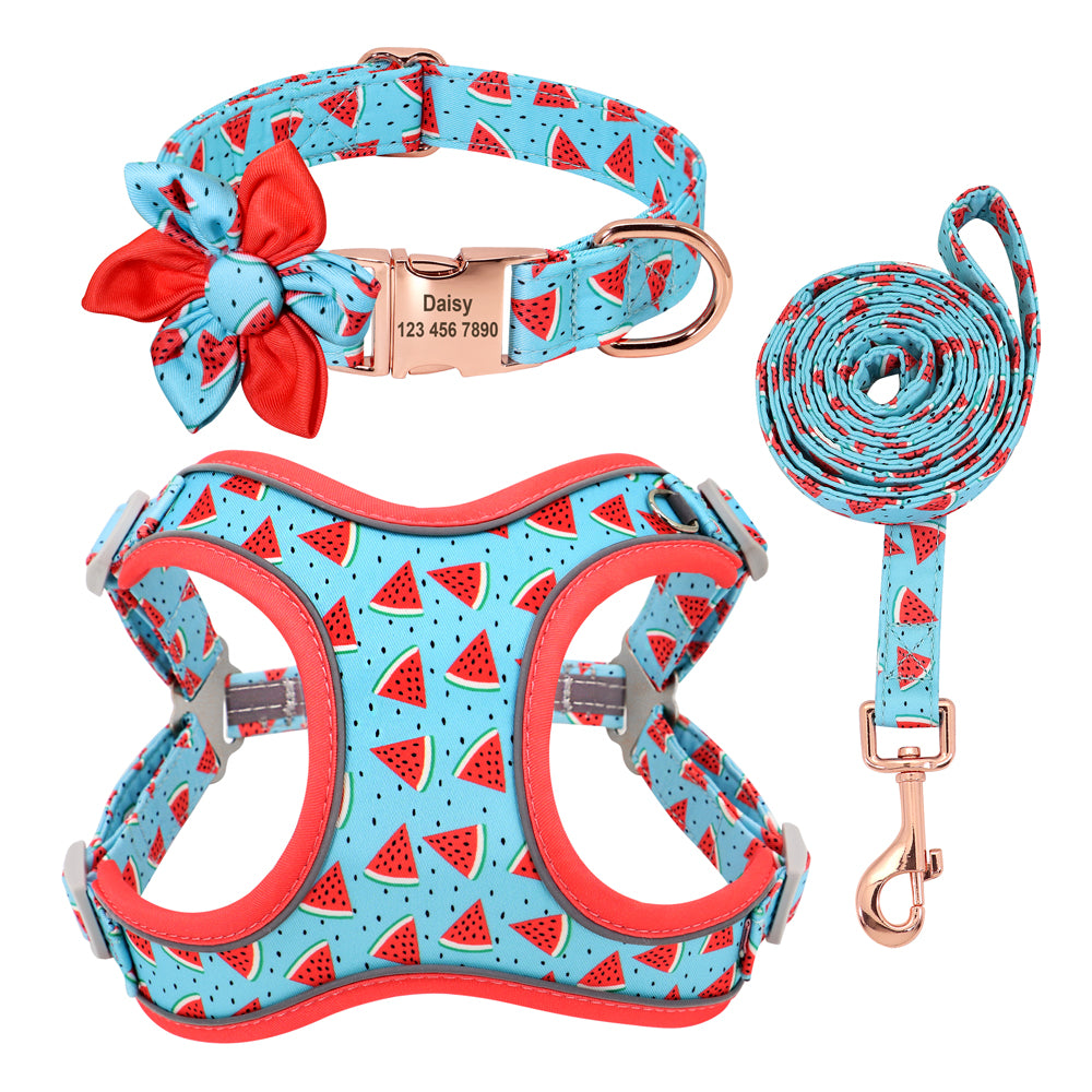 Small Dog Leash | Short Dog Leash | Bubba's Pet Emporium