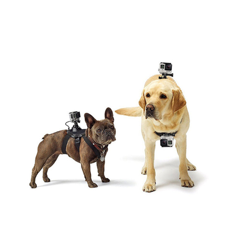 Sports Camera Pet Photography And Dog Sling