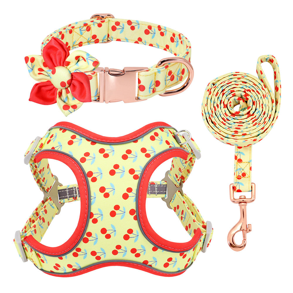 Small Dog Leash | Short Dog Leash | Bubba's Pet Emporium