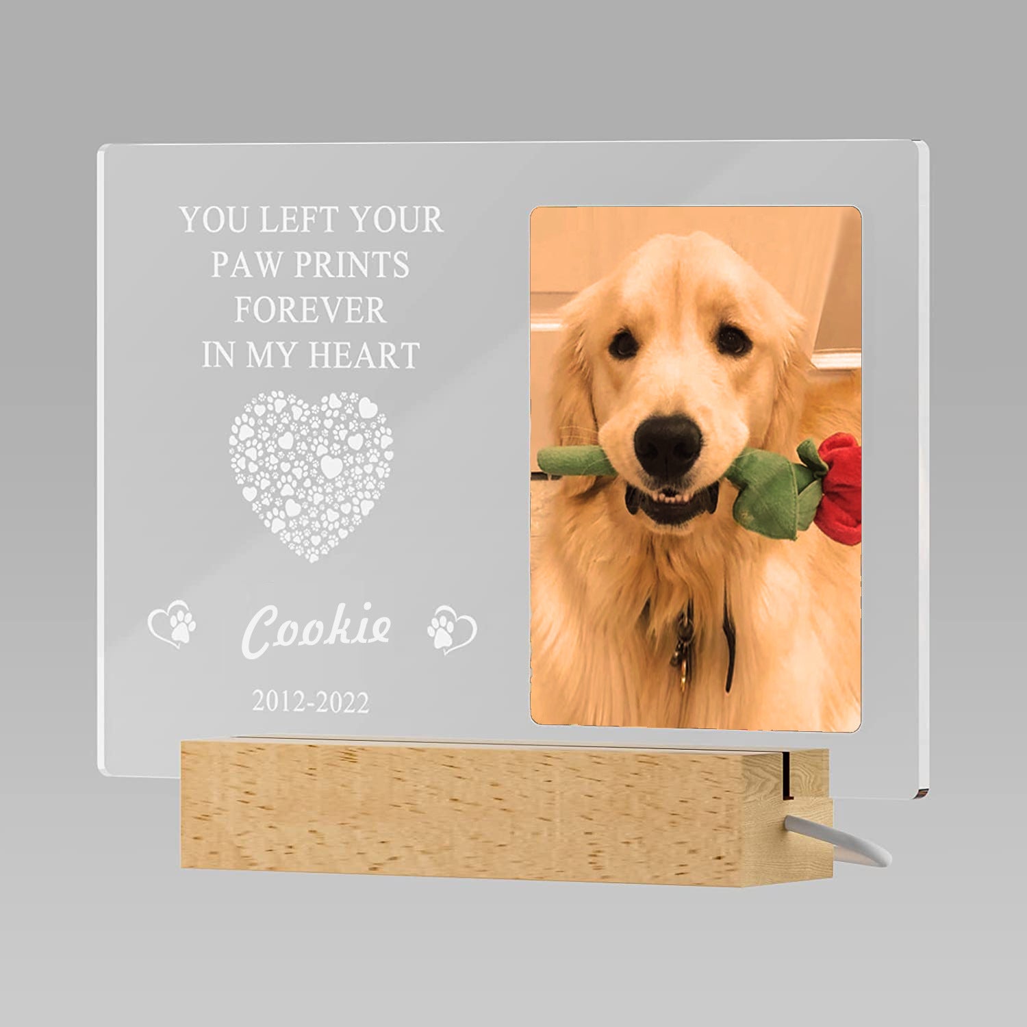 Dog Photo Frame | Dog Night Light Frames | Bubba's Pet Emporium