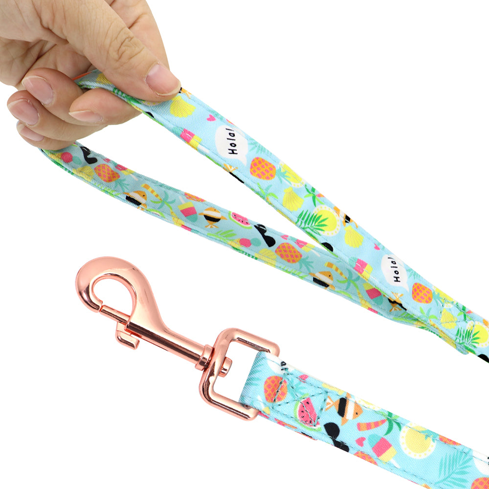 Small Dog Leash | Short Dog Leash | Bubba's Pet Emporium