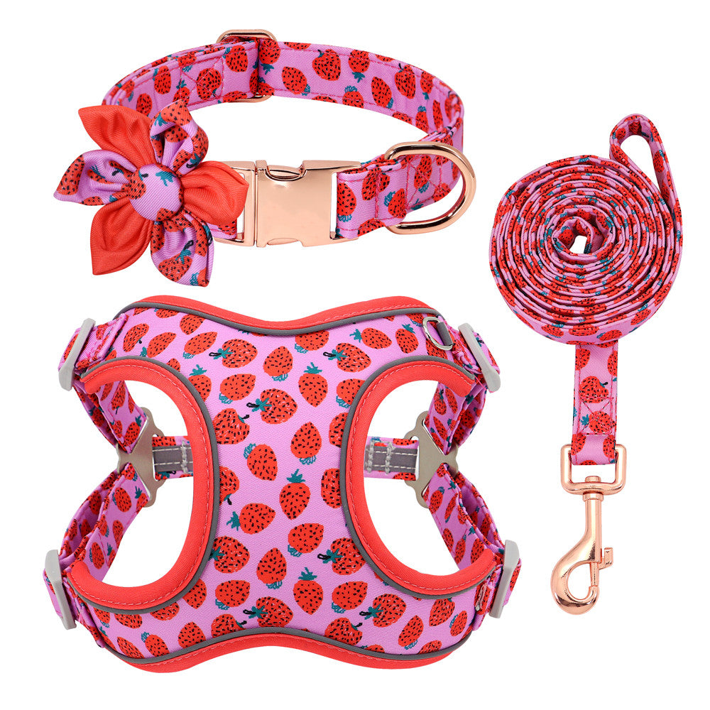 Small Dog Leash | Short Dog Leash | Bubba's Pet Emporium