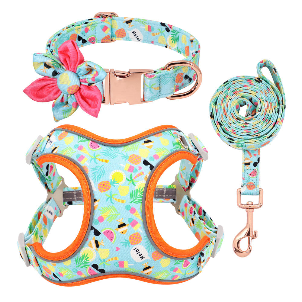 Small Dog Leash | Short Dog Leash | Bubba's Pet Emporium