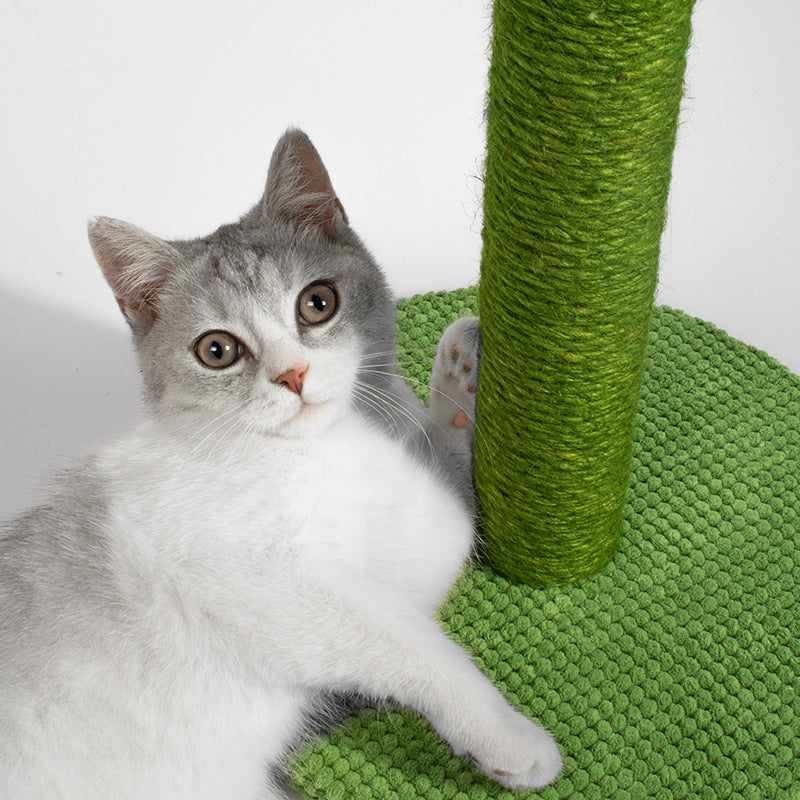 Cat Scratching Post | Cat Scratcher | Bubba's Pet Emporium