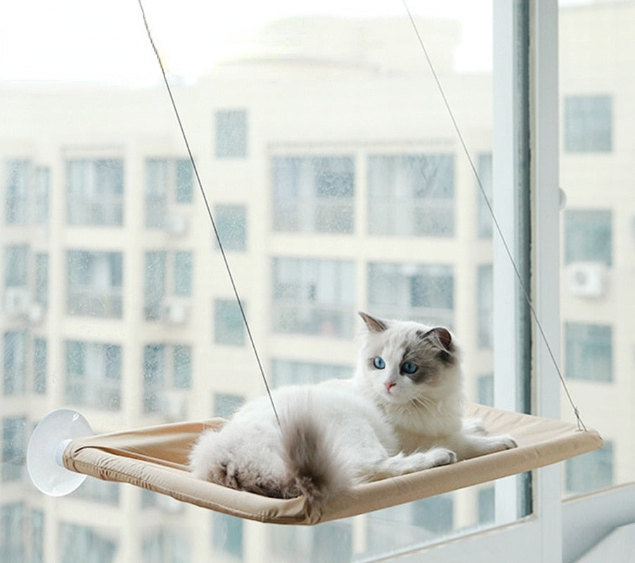 Cat Hanging Bed | Cat Wall Hanging Bed | Bubba's Pet Emporium