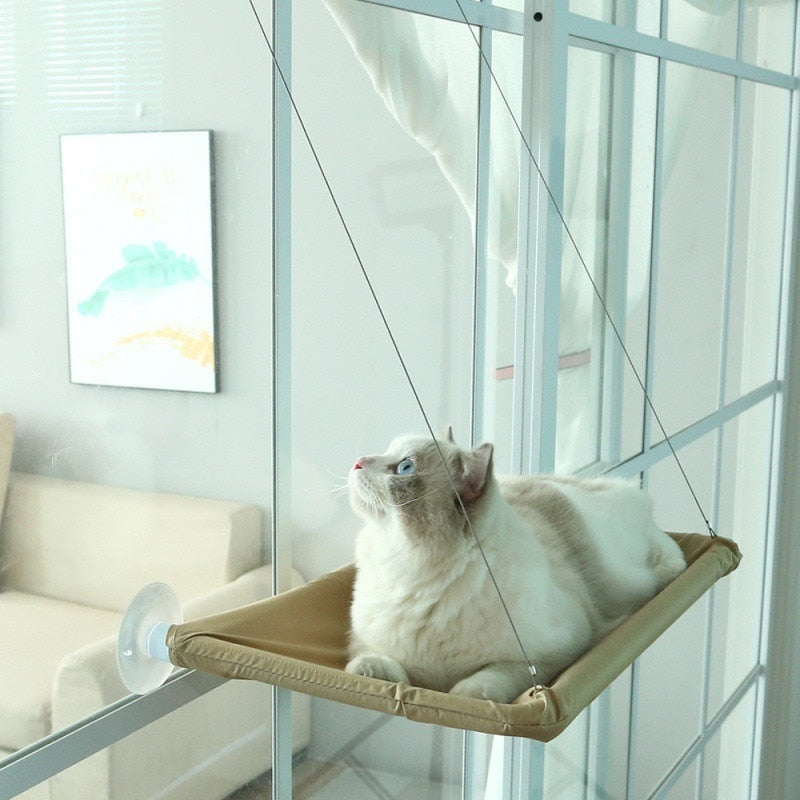 Cat Hanging Bed | Cat Wall Hanging Bed | Bubba's Pet Emporium