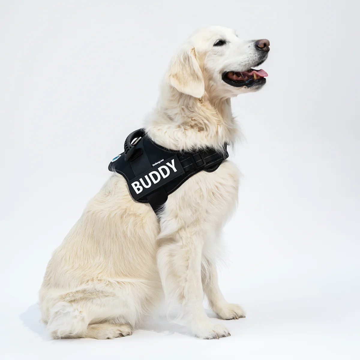 Best Dog Harness | Dog Harness | Bubba's Pet Emporium