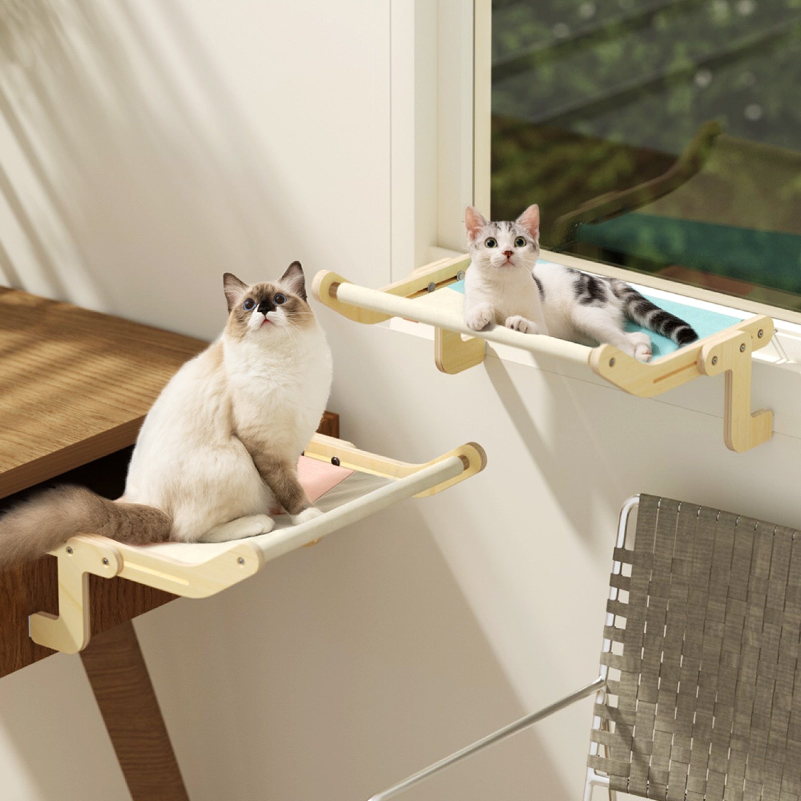 Sturdy Cat Window Perch