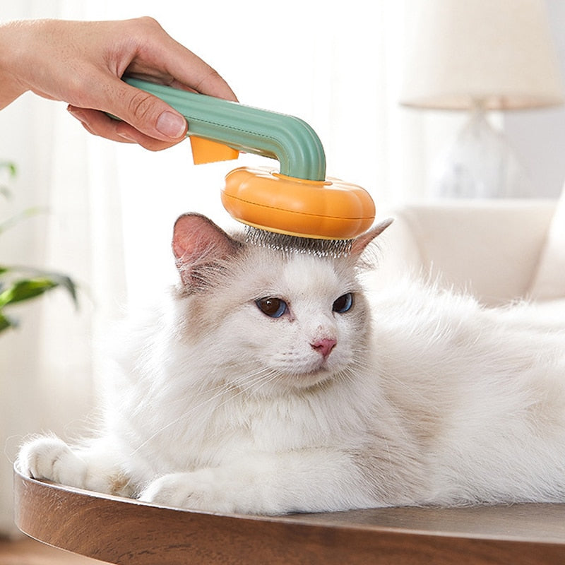 Cat Grooming Brush | Cat Pumpkin Grooming Brush | Bubba's Pet Emporium