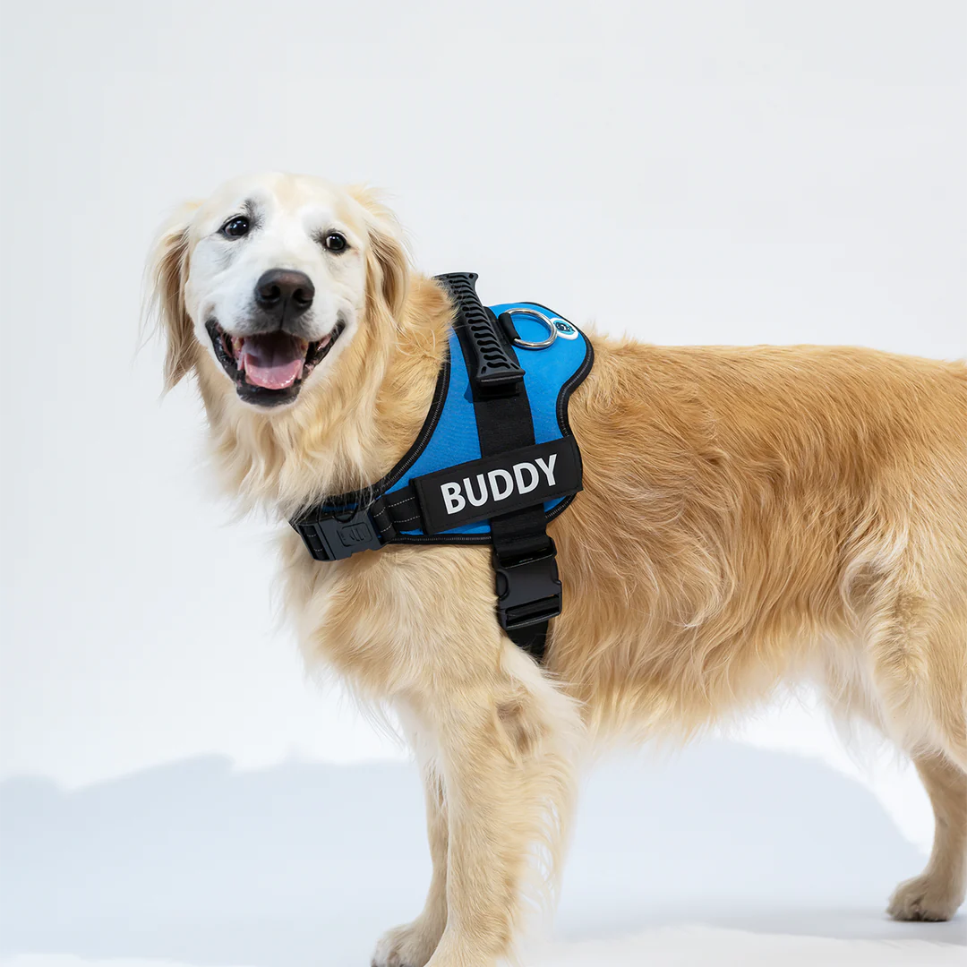 Best Dog Harness | Dog Harness | Bubba's Pet Emporium