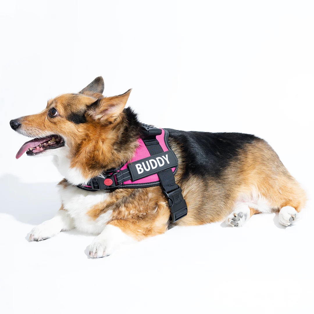 Best Dog Harness | Dog Harness | Bubba's Pet Emporium