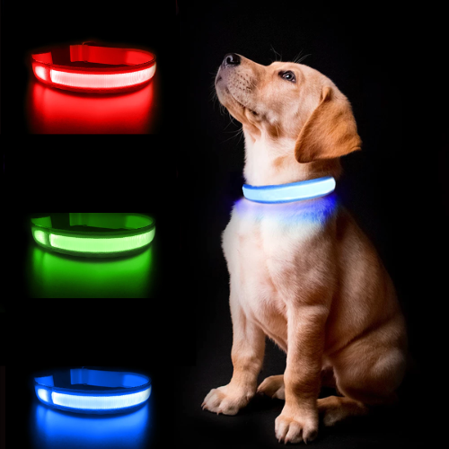 Dog LED Belt
